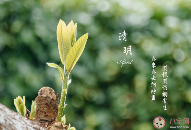 2021清明节图片一句话问候语说说 2021清明节简短问候图片说说