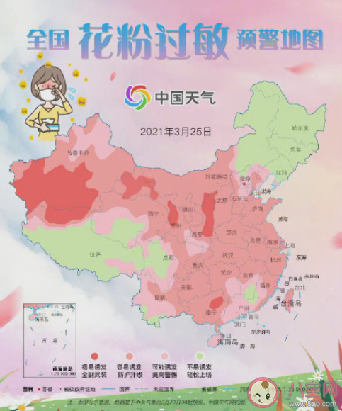 全国花粉过敏预警地图来了 如何预防花粉过敏