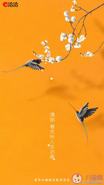 2021清明节各品牌海报文案赏析 清明节各行业借势文案
