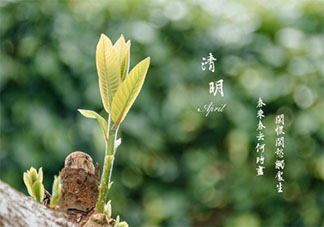 2021清明节图片一句话问候语说说 2021清明节简短问候图片说说