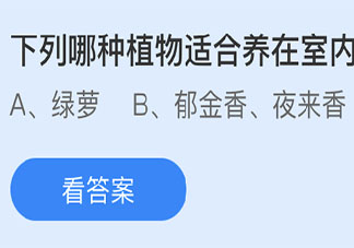 下列哪种植物适合养在室内 最新蚂蚁庄园3月25日答案