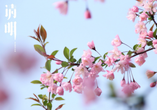 2021清明节各品牌海报文案赏析 清明节各行业借势文案