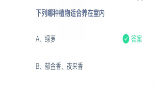 绿萝和郁金香夜来香哪种植物适合养在室内 蚂蚁庄园3月25日问题答案