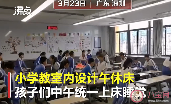 深圳一小学班级内设置午休床是怎么回事 午休对学生来说有多重要
