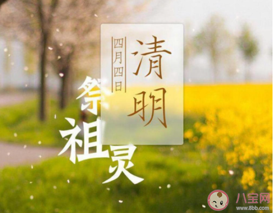 2021清明节回家扫墓发朋友圈说说 2021清明节回家上坟的心情句子
