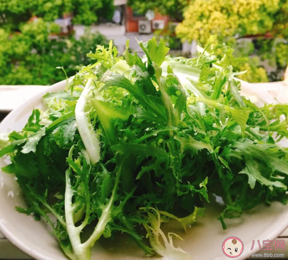 吃苦菊拉肚子怎么回事 凉拌苦菊要焯水吗 吃苦菊拉肚子怎么回事 凉拌苦菊要焯水吗