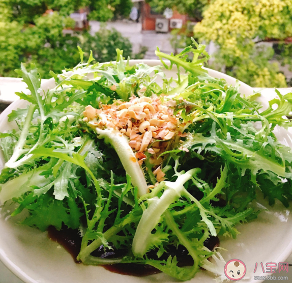 吃苦菊拉肚子怎么回事 凉拌苦菊要焯水吗 吃苦菊拉肚子怎么回事 凉拌苦菊要焯水吗