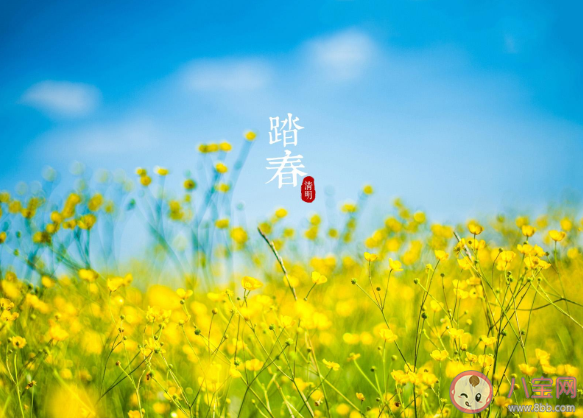 适合春游踏青发朋友圈的可爱文案 春游踏青简短美好句子