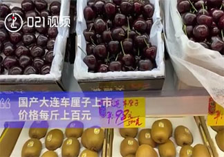 国产车厘子价格升至120元每斤是怎么回事 国产车厘子品质比进口车厘子好吗