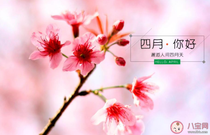 三月结束四月开始一句话心情说说 再见三月迎接四月发朋友圈句子