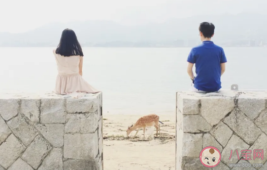 为什么内卷是绝对权力欲的熬鹰游戏 如何看待内卷