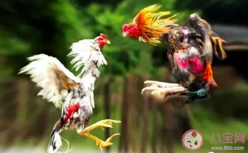 女性该如何面对婚姻困局 婚姻面临危机怎么应对