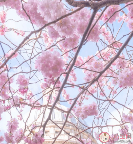 值得手抄千遍的神仙文案句子 必须要摘抄的神仙文案合集