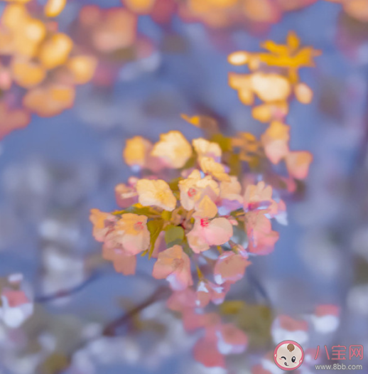 值得手抄千遍的神仙文案句子 必须要摘抄的神仙文案合集