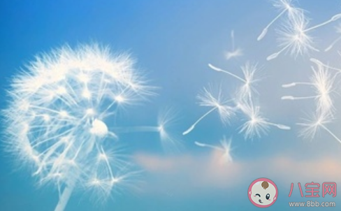 园丁式的父母应该怎么做 园丁式教育的正确方法