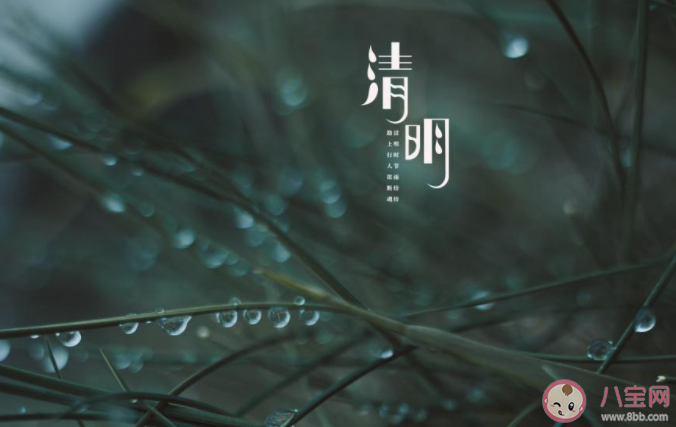 2021今年清明节几点进 2021清明节具体进入时间