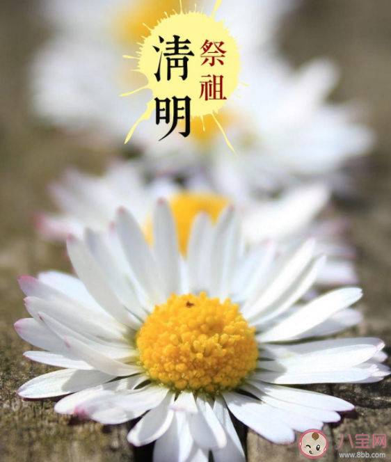 清明节为什么只打招呼不问好 清明不问好是什么原因