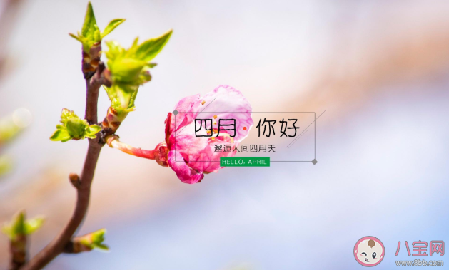 适合四月发朋友圈的温柔积极向上的文案 4月发朋友圈早安正能量句子