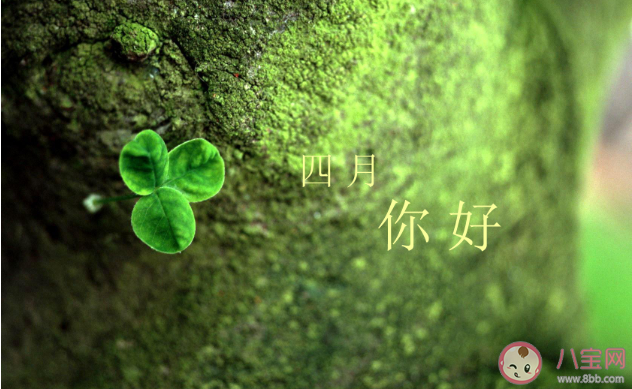 适合四月发朋友圈的温柔积极向上的文案 4月发朋友圈早安正能量句子