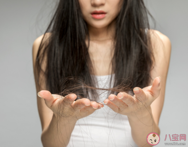 人一年要掉多少头发 日常护理如何减少脱发 人一年要掉多少头发 日常护理如何减少脱发