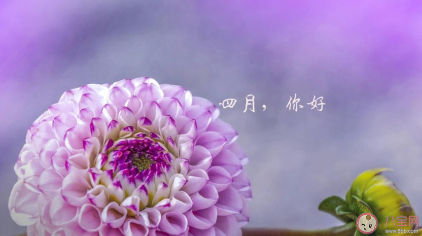 2021四月温柔又浪漫的文案合集 2021四月温暖人心的浪漫文案句子