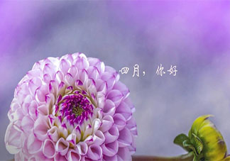 2021四月温柔又浪漫的文案合集 2021四月温暖人心的浪漫文案句子