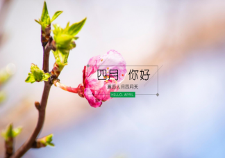 适合四月发朋友圈的温柔积极向上的文案 4月发朋友圈早安正能量句子