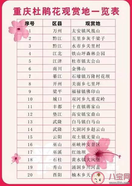 重庆杜鹃花海在哪可以看到 杜鹃花的花期是几月