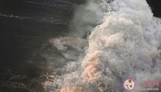 适合愚人节表白的文案句子 愚人节告白的情话句子