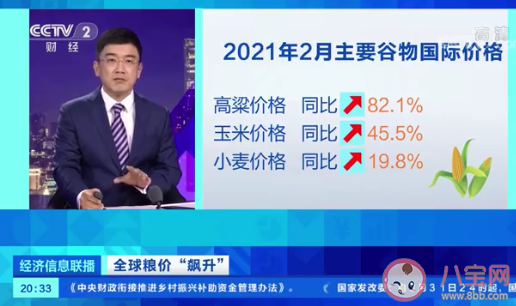 全球粮价上涨是否影响中国人 为什么粮价上涨了