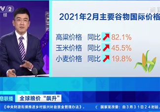 全球粮价上涨是否影响中国人 为什么粮价上涨了