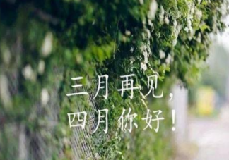 三月再见四月你好温柔文案句子 三月再见四月你好朋友圈正能量说说