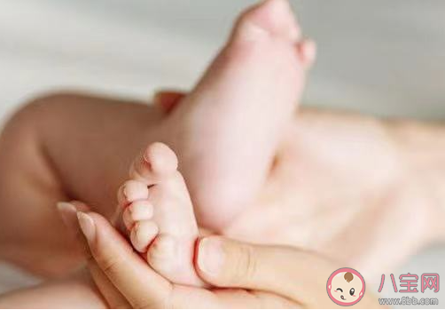 西班牙诞生世界首个带新冠抗体婴儿是怎么回事 新生儿为什么会带有新冠抗体