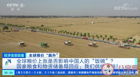 官方回复全球粮价上涨是否影响中国人 需要提前囤积粮食吗