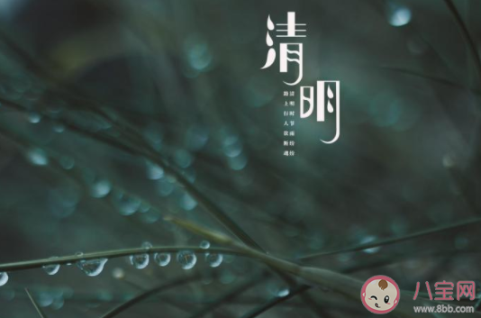 2021清明假期全国天气预报地图来了 清明十大热门城市晴雨表出炉