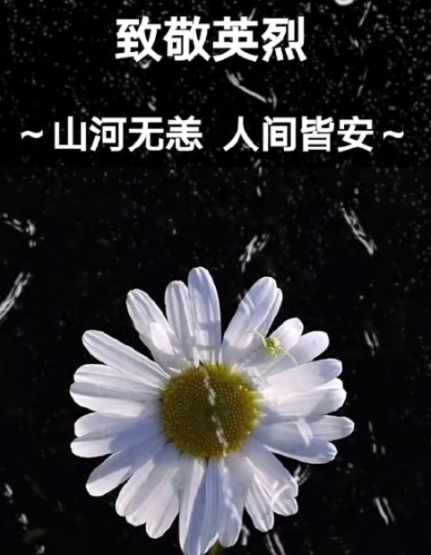 清明节致敬英雄缅怀先烈的正能量说说 清明节致敬逝去英雄烈士的文案句子