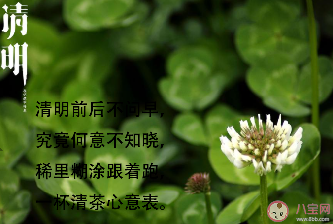 2021清明前后不问早上好说说配图 2021清明只打招呼不问好带字图片