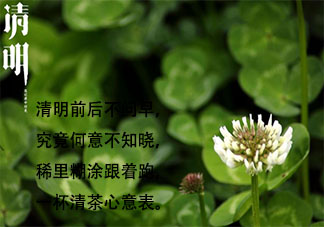 2021清明前后不问早上好说说配图 2021清明只打招呼不问好带字图片