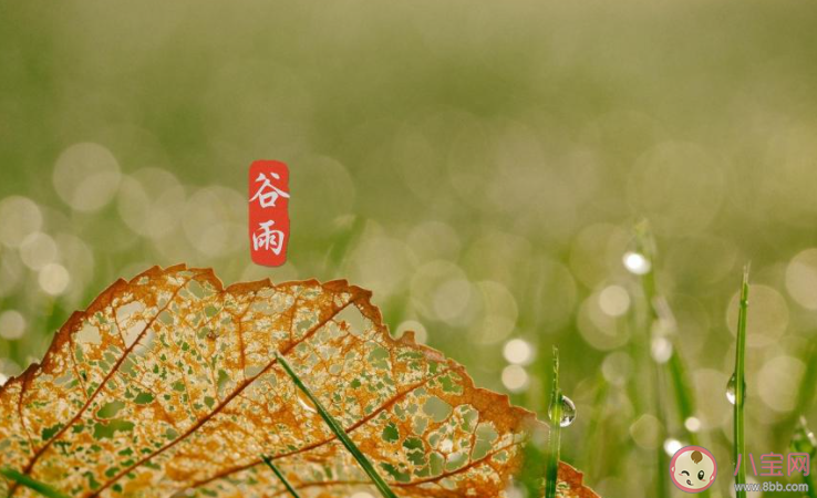 2021谷雨节气图片祝福语句子大全 2021谷雨文案祝福语图片说说