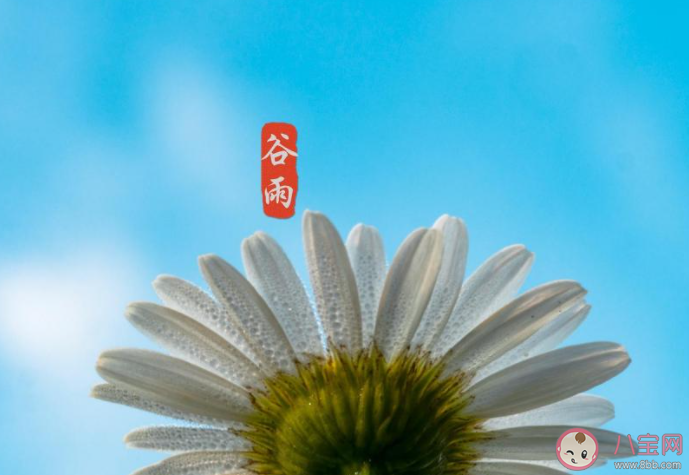 2021谷雨节气图片祝福语句子大全 2021谷雨文案祝福语图片说说