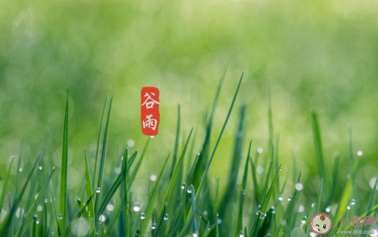 2021谷雨节气图片祝福语句子大全 2021谷雨文案祝福语图片说说