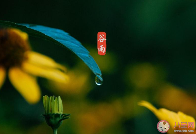 2021谷雨早安心语正能量文案说说 2021谷雨节气问好早安说说朋友圈