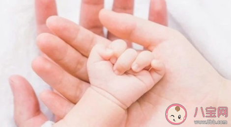 哺乳期奶水不足需要喝什么汤好 哺乳期下奶汤推荐 哺乳期奶水不足需要喝什么汤好 哺乳期下奶汤推荐