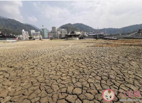 日月潭潭底干枯成块状是怎么回事 日月潭为什么枯了