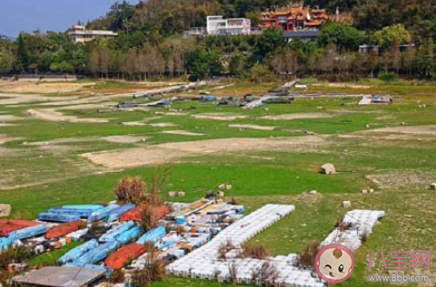 日月潭潭底干枯成块状是怎么回事 日月潭为什么枯了