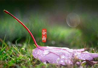 2021谷雨节气图片祝福语句子大全 2021谷雨文案祝福语图片说说