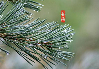 2021谷雨早安心语正能量文案说说 2021谷雨节气问好早安说说朋友圈