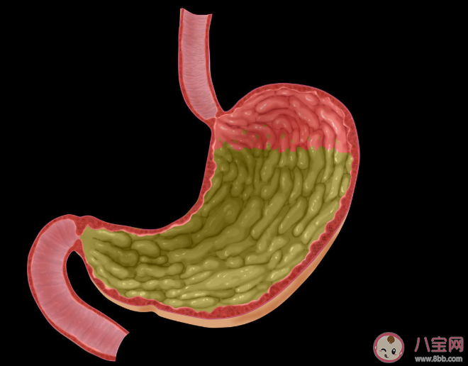 胃镜检查后可以马上吃东西吗 胃镜检查注意事项 胃镜检查后可以马上吃东西吗 胃镜检查注意事项