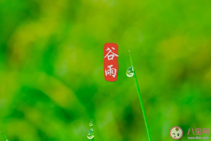 2021谷雨节气一句话问候语说说 2021谷雨到了的祝福语朋友圈 2021谷雨节气一句话问候语说说 2021谷雨到了的祝福语朋友圈