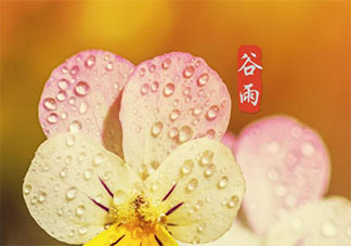 2021谷雨节气一句话问候语说说 2021谷雨到了的祝福语朋友圈